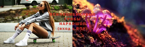 каннабис Баксан